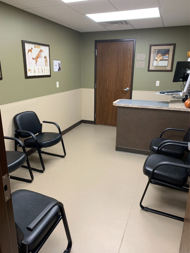 Pulaski Veterinary Clinic Exam Room
