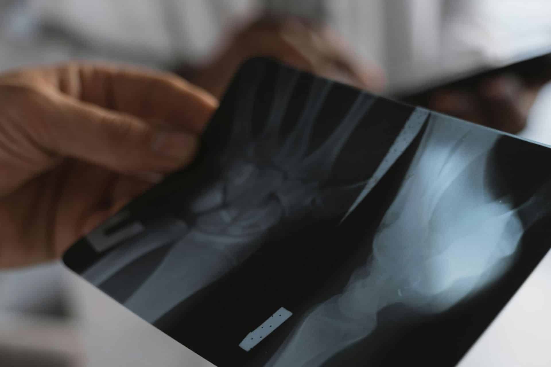 Pet X-ray